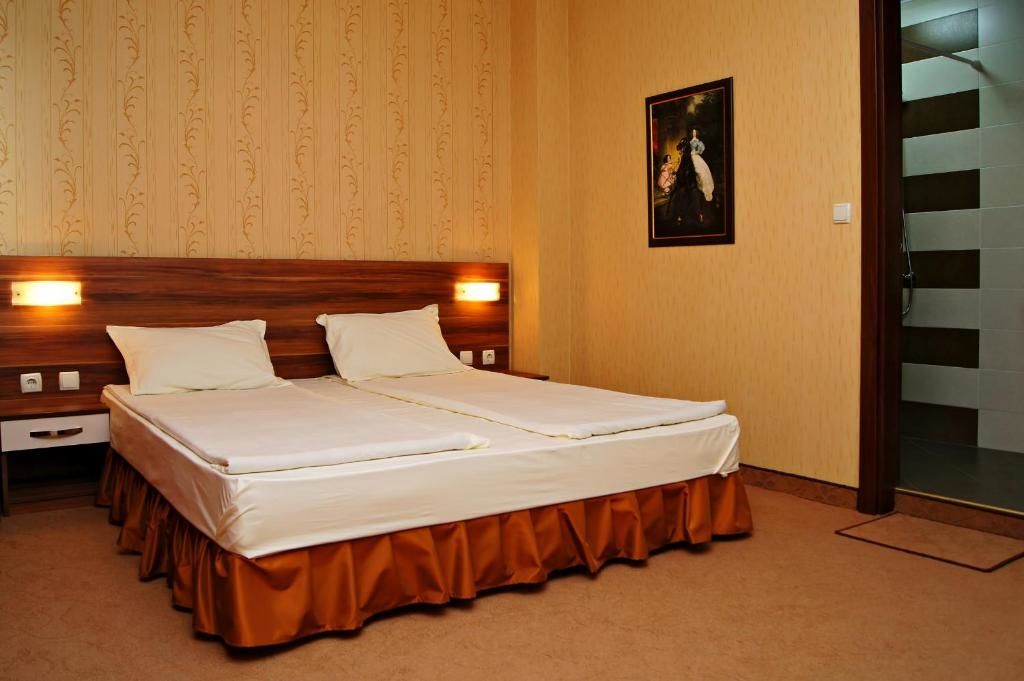 Отель Family Hotel Ramira Кюстендил-30